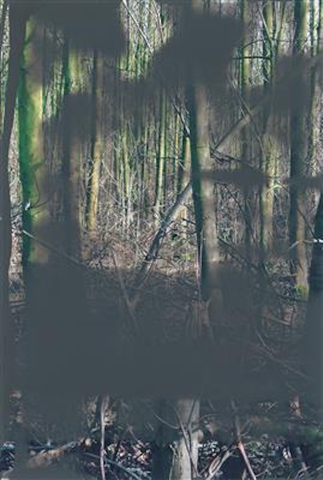 Wald II by Gerhard Richter