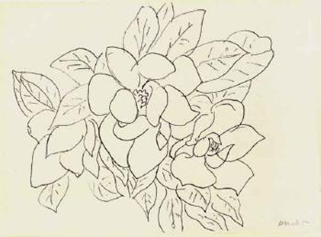 Etude pour 'Nature morte au magnolia' by Henri Matisse