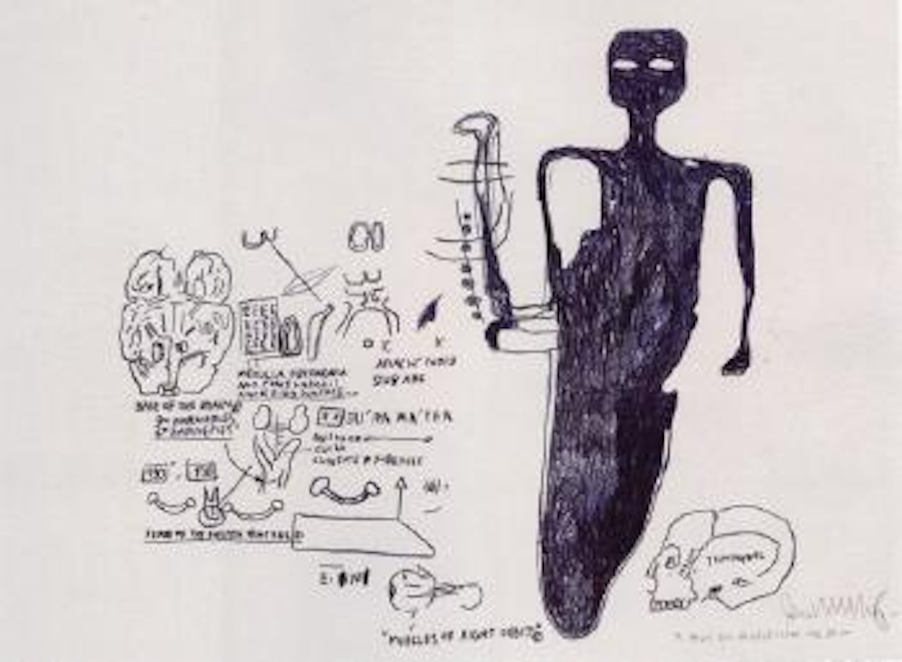 Muscles of right orbit by Jean-Michel Basquiat