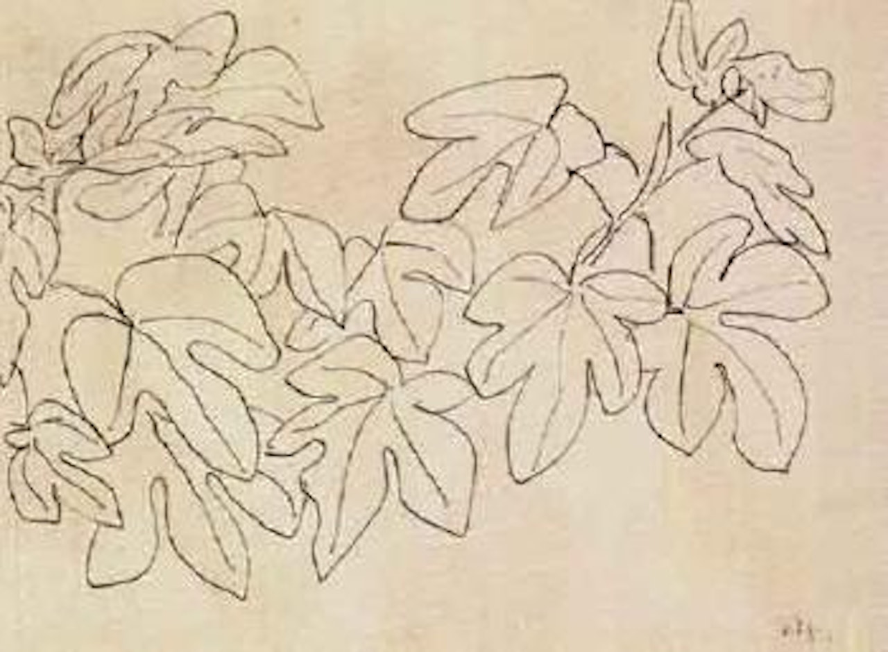 Feuilles by Henri Matisse