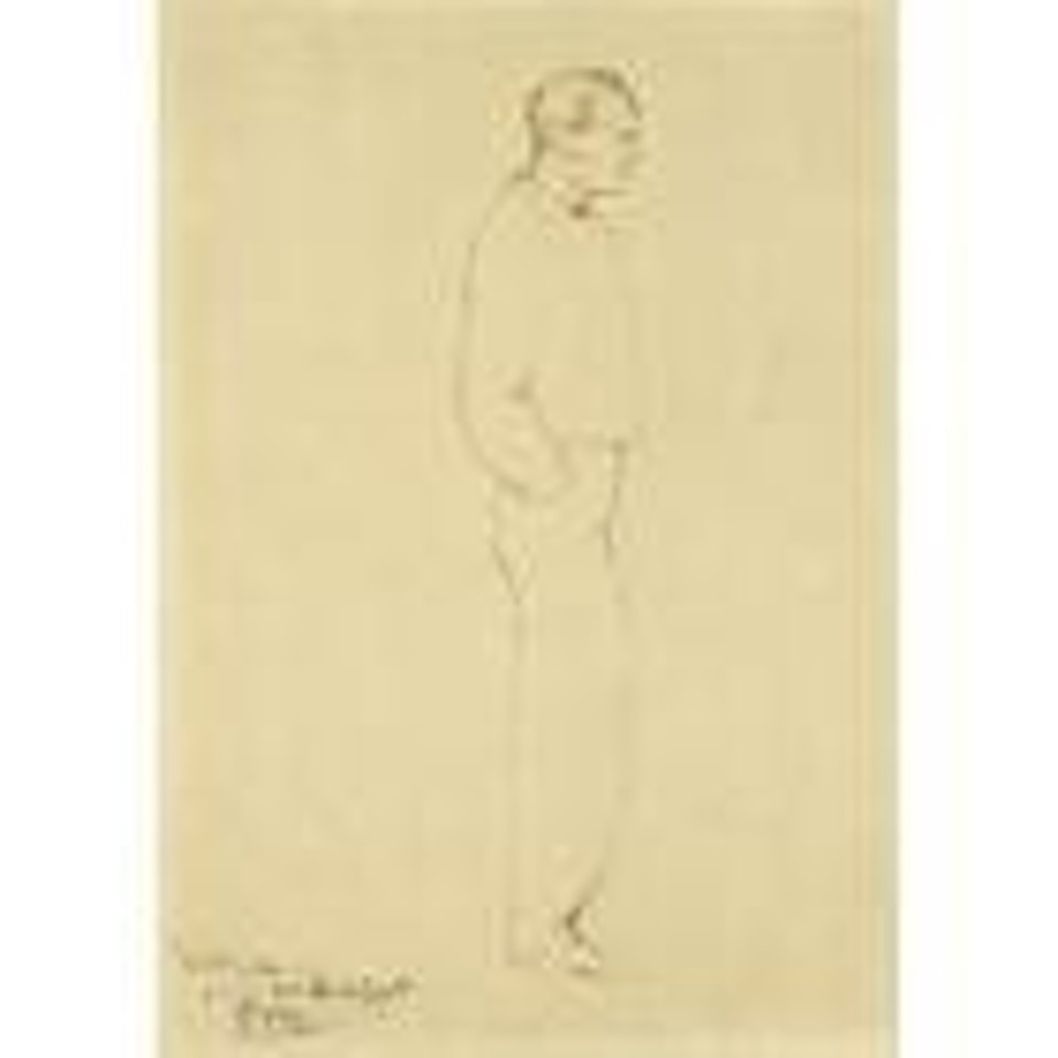 Toreador by Pablo Picasso