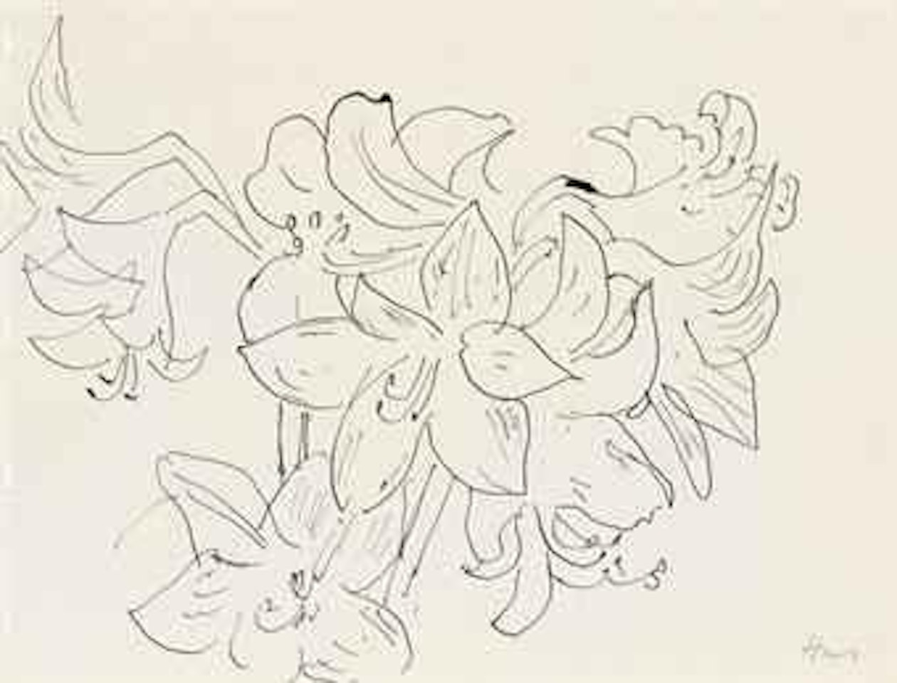 Dessin à la plume (Fleur de lys) by Henri Matisse