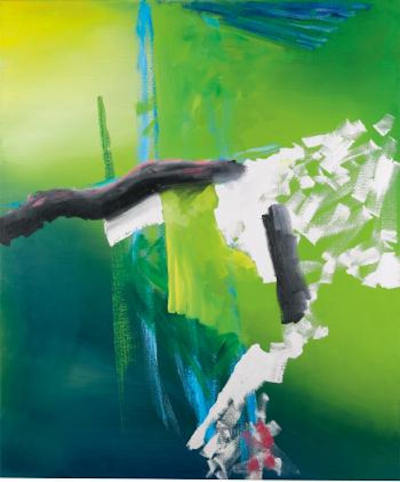 Moor by Gerhard Richter
