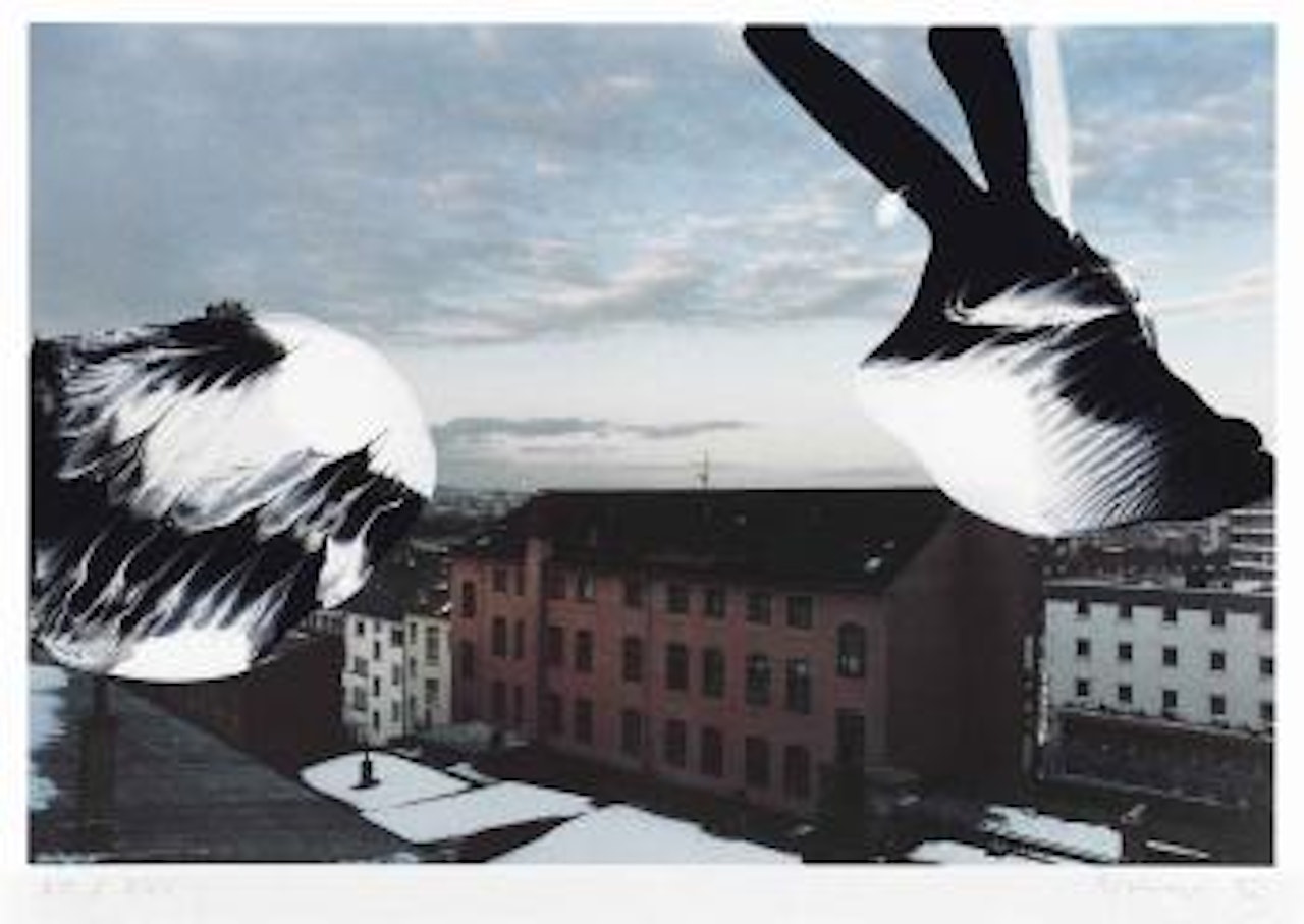 Kassel, from Documenta IX Edition by Gerhard Richter