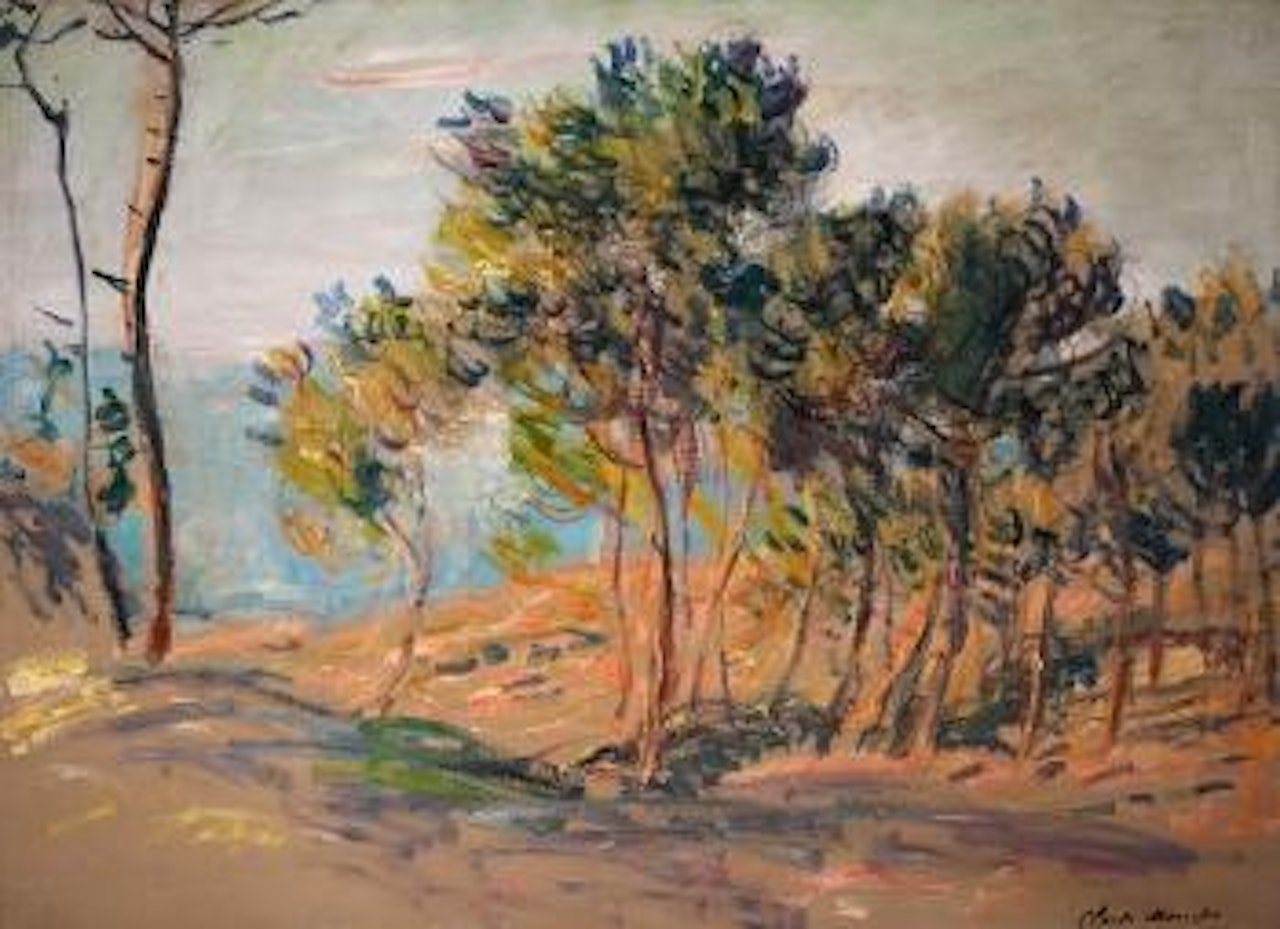 Les sapins à Varengeville by Claude Monet