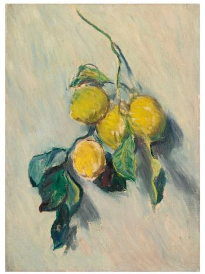 Branche De Citronnier by Claude Monet