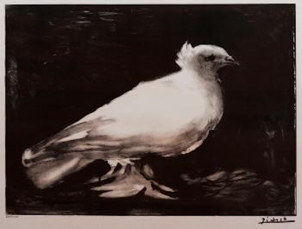 20th anniversary peace movement by Pablo Picasso