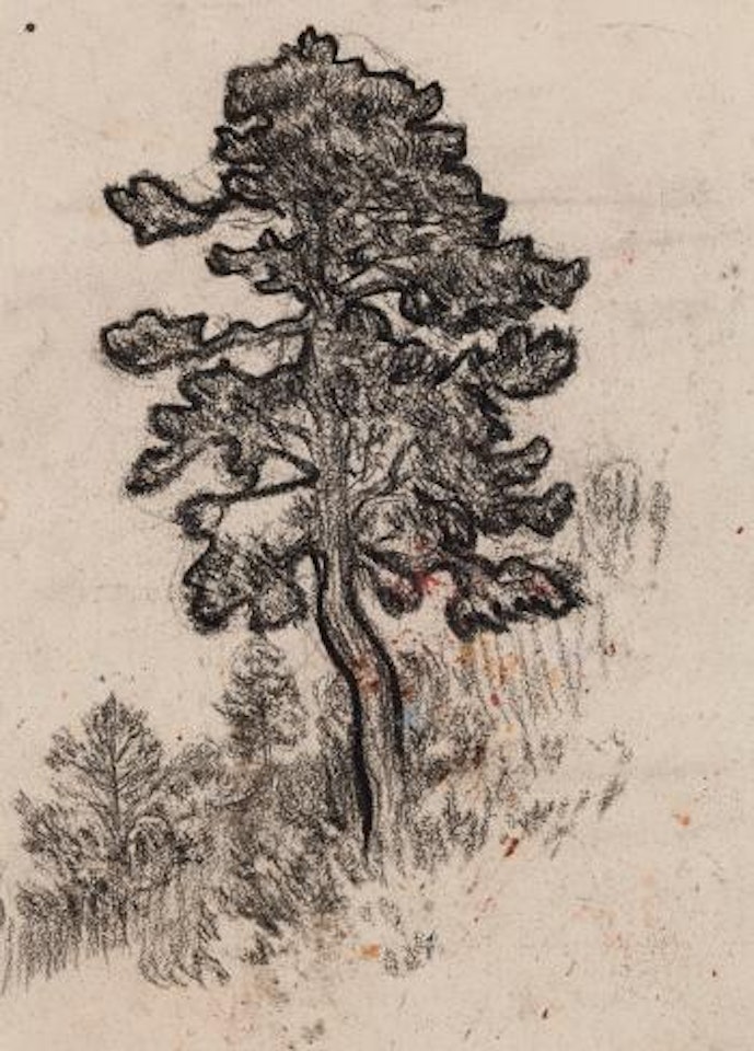 Arbre - Recto; Études De Gitane Espagnole - Verso by Pablo Picasso
