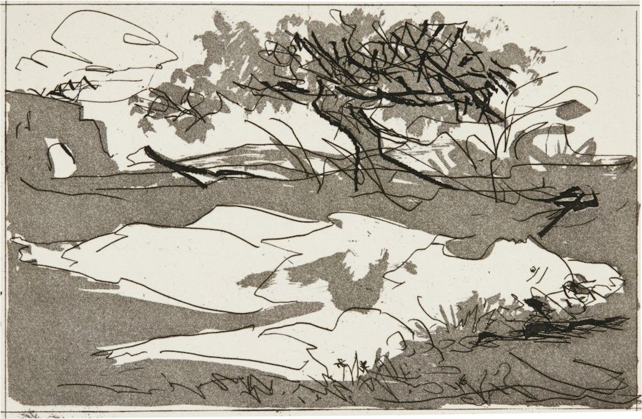 FROM SUEÑO Y MENTIRA DE FRANCO (PLANCHE II) (SEE B. 298; BA. 616) by Pablo Picasso