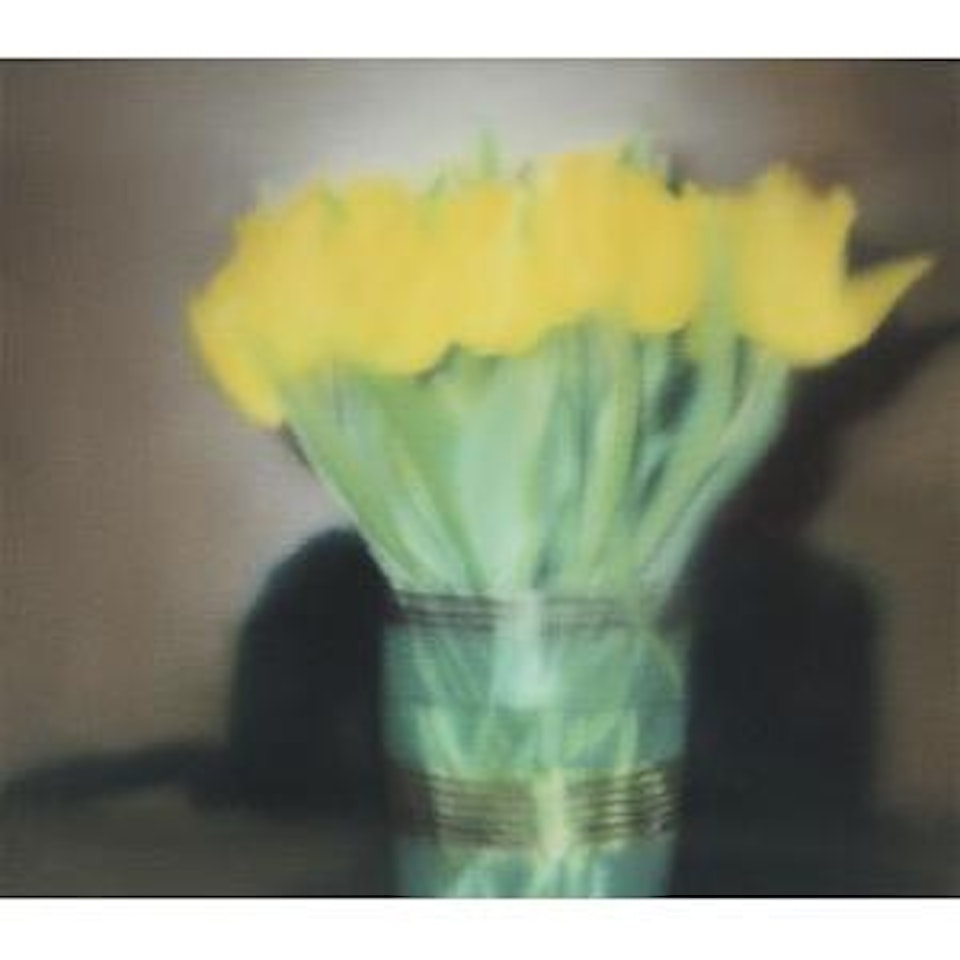 Tulpen [Tulips] (P17) by Gerhard Richter