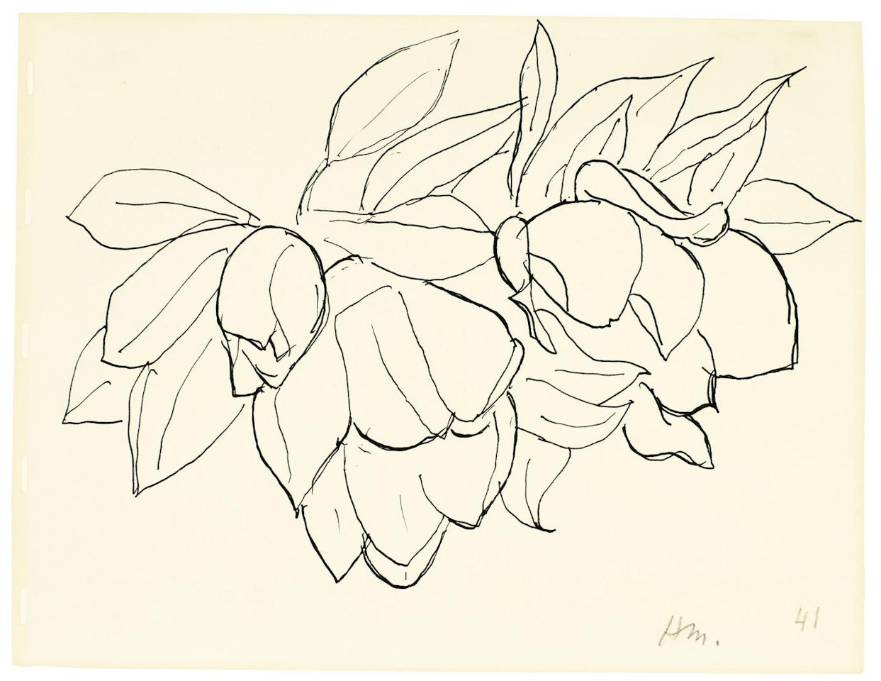 MAGNOLIA by Henri Matisse