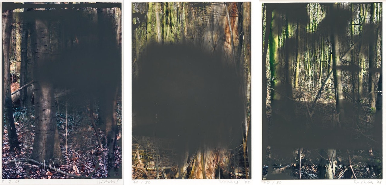 II. WALD (74/80) by Gerhard Richter