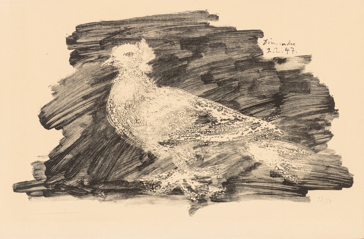 PIGEON AU FOND GRIS (B. 418; M. 64) by Pablo Picasso