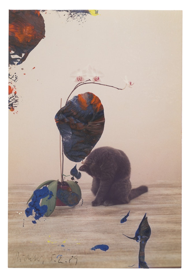 Untitled (5.2.89) by Gerhard Richter